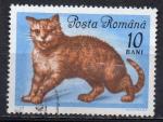 ROUMANIE N 2111 o Y&T 1965 Chats (Chat europen)