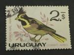 Uruguay 1962 - Y&T PA 239 obl.