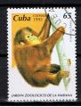 Cuba / 1995 / Zoo de La Havane / YT n 3500 oblitr