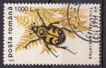 ROUMANIE  - 1996 - Insecte - Yvert 4317 Oblitr