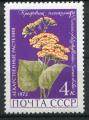 Timbre Russie & URSS 1972  Neuf **  N 3819  Y&T  Fleurs