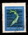 Pologne Yvert N0930 Oblitr 1958 Poisson BROCHET