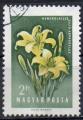 HONGRIE N 1254 o Y&T 1958 Fleurs (Hmrocalle dor)