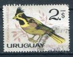 Timbre de l'URUGUAY  PA  1962 - 63  Obl  N 239  Y&T  Oiseaux 