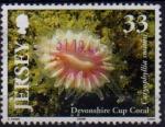 Jersey 2004 - Corail/Coral : dent de chien, obl./used - YT 1175 / SG 1164  