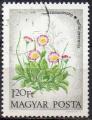 HONGRIE N 2325 o Y&T 1973 Fleurs (Pquerettes)