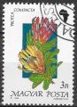 HONGRIE - 1990 - Yt n 3265 - Ob - Fleur : protea compacta