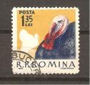 Roumanie N Yvert 1914/15 (oblitr) (o)