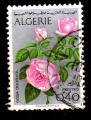 AF24 - Anne 1973 - Yvert n 569 - Rose (Rosa odorata)