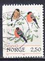 NORVEGE - 1985 - Oiseaux - Yvert 895 Oblitr 
