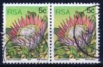 AFRIQUE DU SUD N 420 Y&T o 1977 fleurs (protea cynaroides) paire