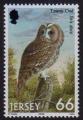 Jersey 2001 - Oiseau de proie : chouette hulotte/tawny owl - YT 991 / SG 1004 **