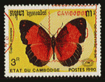 Cambodge 1990 - Y&T 942 - oblitr - Nouvelle-Guine rustique (Cupha prosope)