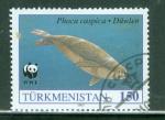 Turkmenistan 1993 Y&T 43 oblitr Faune en danger - Phoque