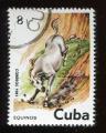 Timbre  CUBA   1981  Obl  N  2290    Y&T   Chevaux