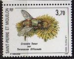 St-Pierre & Miquelon 1994 - Insecte & fleur, abeille & pissenlit, NSC- YT 594 **