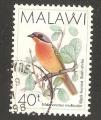 Malawi - Scott 527   bird / oiseau