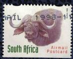 Afrique du Sud Oblitr Used Animaux Sauvages Buffalo Buffle Airmail Postcard