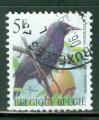 Belgique 1996 Y&T 2636 oblitr  Oiseaux - tourneau sansonnet