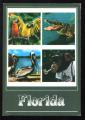 CPM Etats Unis Floride Animaux Proquets  Plicans Crocodile Singe Multi Vues 