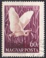 HONGRIE N 1291 o Y&T 1959 Echassiers (Spatule blanche)