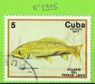 POISSONS - CUBA  N1995 OBLIT