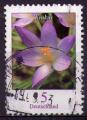 Y.T. 2305 - Fleur : Crocus - oblitr - anne 2005