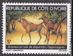 COTE d'IVOIRE n 501 de 1979 neuf