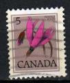 CANADA N 629 o Y&T 1977 Fleurs (Gyroselle d'Henderson)