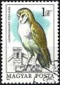 Hongrie 1984 - YT 2953 ( Oiseau : Chouette effraie ) Ob