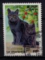 Timbre FRANCE 1999 Obl  N 3283 Y&T  Faune Chat