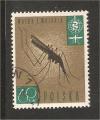 Poland - Scott 1087   insect