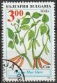 Timbre oblitr n 3614(Yvert) Bulgarie 1995 - Plante comestible, Glycine max