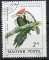 HONGRIE N 2985 o Y&T 1985 Oiseaux (Dryocopus pileatus)