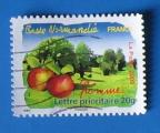 FR 2009 - Nr A299 - Basse Normandie Pomme (obl)