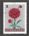 Bulgaria - Scott 1556  flower / fleur