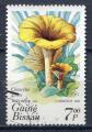 Timbre GUINEE BISSAU  1985  Obl   N 344  Champignons