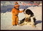 CPM anime Faune CHIEN CHIENS   David et son ami Robby chien Saint Bernard