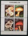 Timbre S. TOME THOME & PRINCIPE Bloc Feuillet 2008 Obl  N   Y&T Champignons