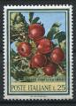 Timbre ITALIE 1967  Obl  N 989   Y&T  Fleurs 