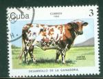Cuba 1984 Y&T 2571 oblitr Faune - Vache