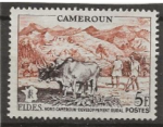 CAMEROUN 1956 Y.T N300 neufsans gomme cote 1.25 Y.T 2022   
