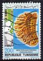 TUNISIE N° 967 o Y&T 1982 la Tunisie paleonthologique (Mediterraneotrigonia cher