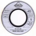 SP 45 RPM (7")  David Hallyday " He's my girl  "