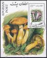  afghanistan - bloc n ?  obliter,champignons - 2001