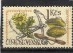Timbre Tchcoslovaquie / Oblitr / 1971 / Y&T N1872.