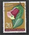 Yugoslavia - Scott 540   flower / fleur