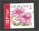 Belgium - SG 3859  flower / fleur