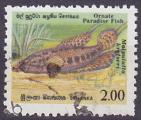Timbre oblitr n 936(Yvert) Sri Lanka 1990 - Poisson paradis orn