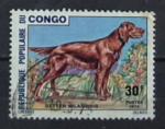 Congo : n 347 obl  
